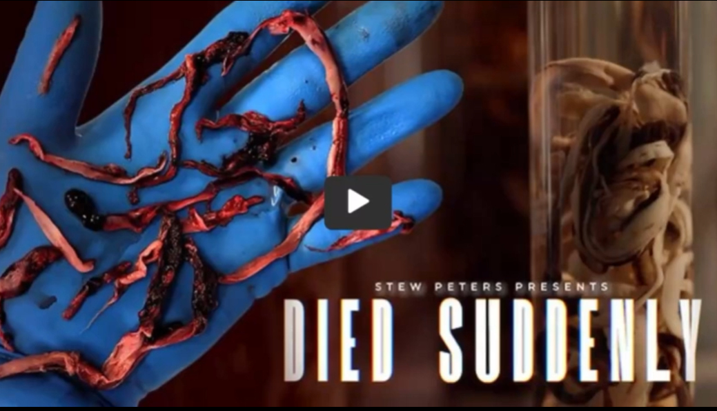 Died Suddenly - STEW PETERS